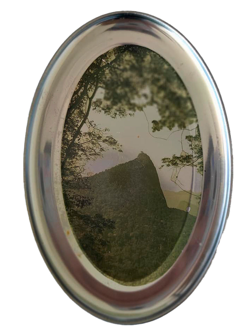 Quadro em Metal Oval Estampado