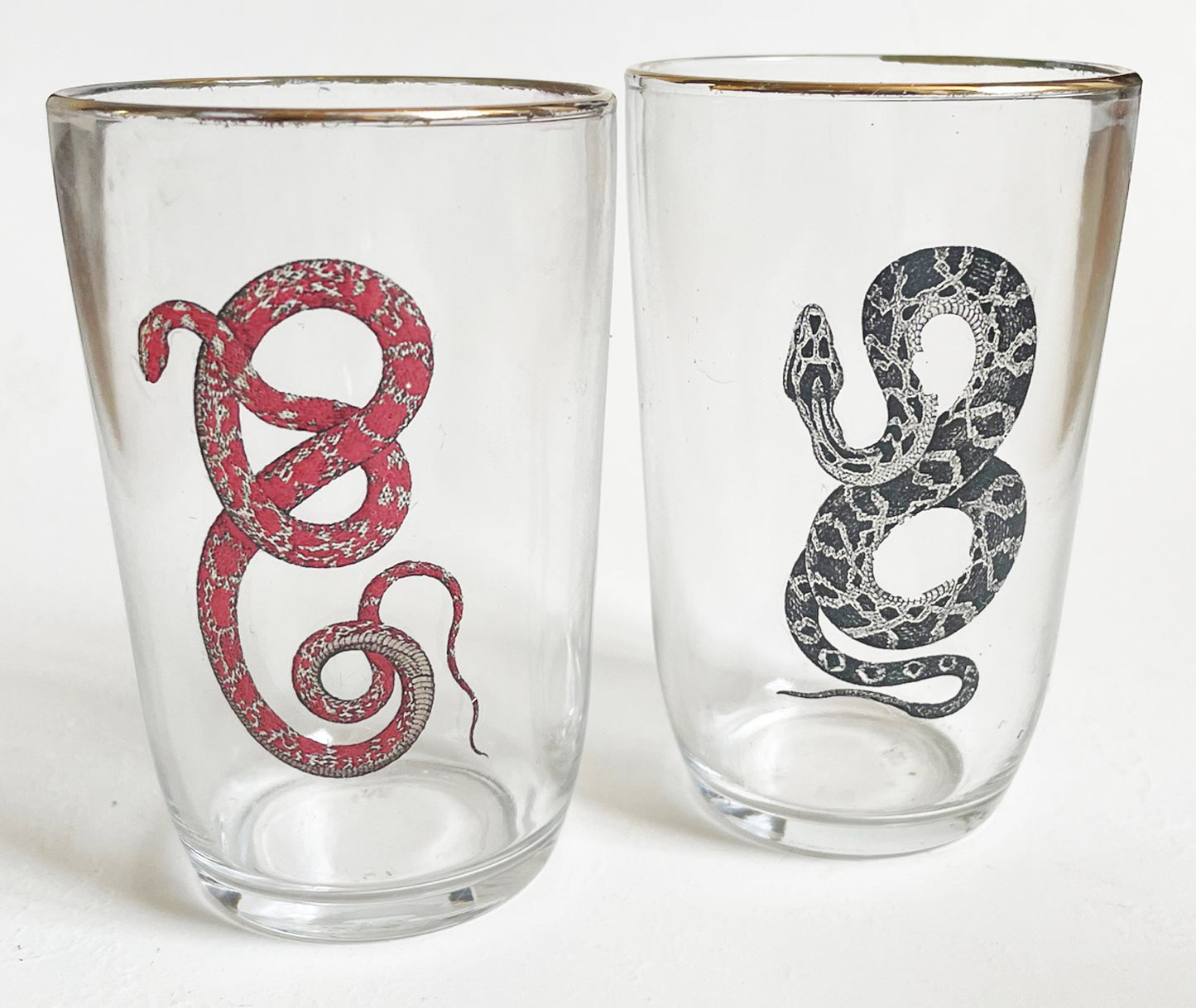 Cups Lavoisier Snake