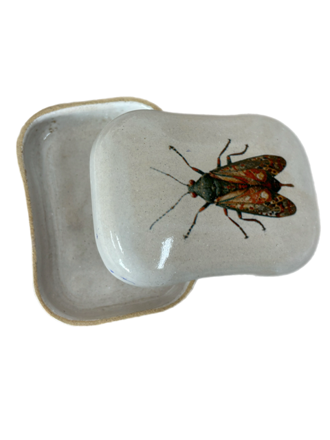 Caixinha-Saboneteira Mariposa