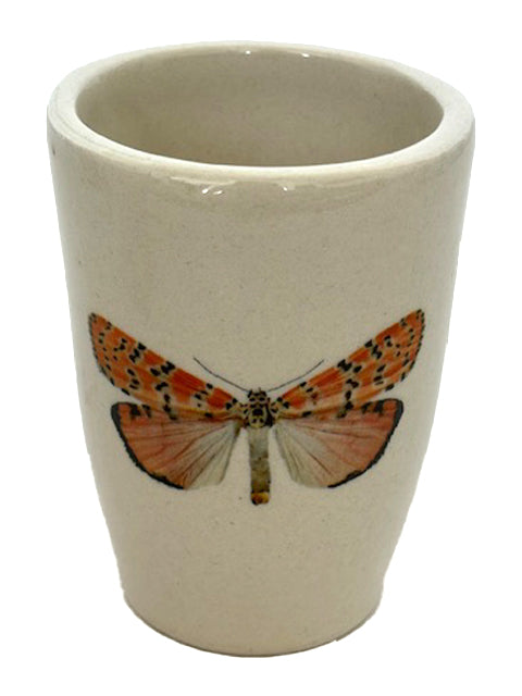 Cups Severino Metamorfose