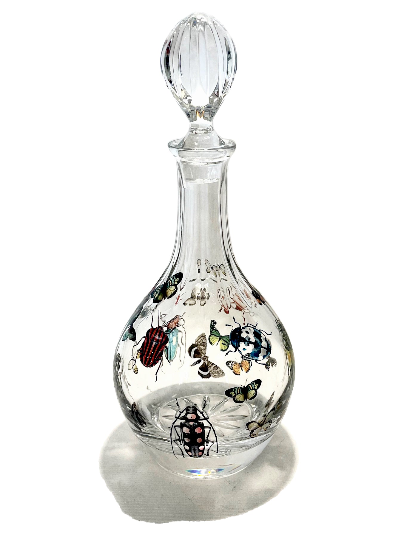 Garrafa Insectorum I