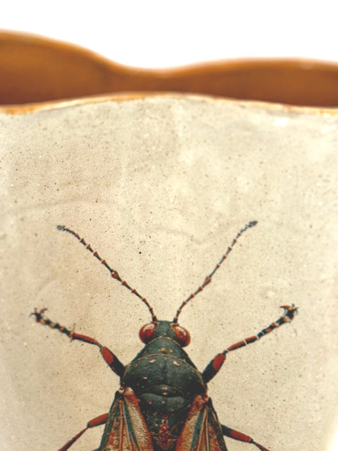 Vaso Infinito Mariposa
