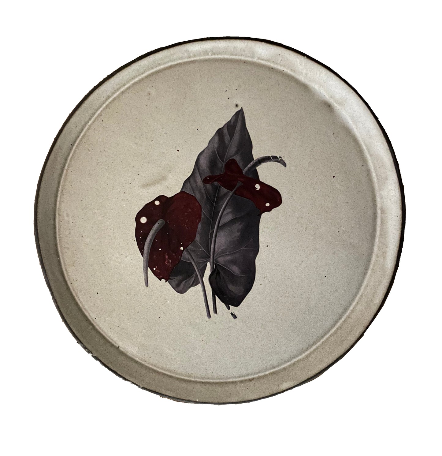 Prato Amazônia n°2