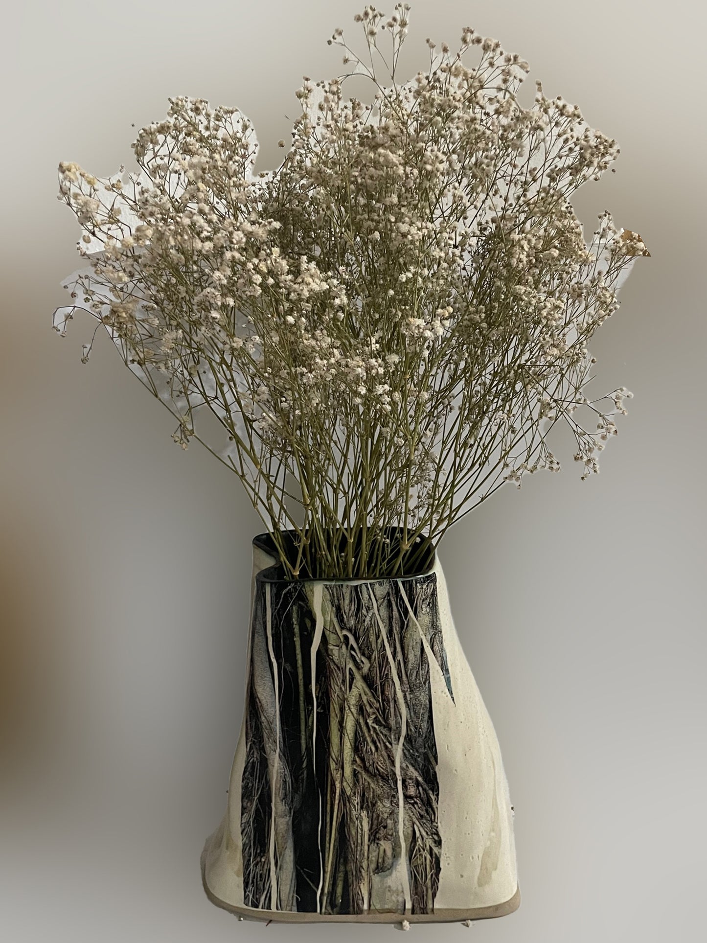 Vaso Casuarina