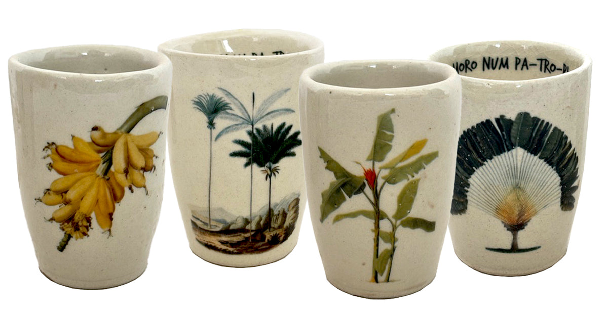 Cups Severino Patropi