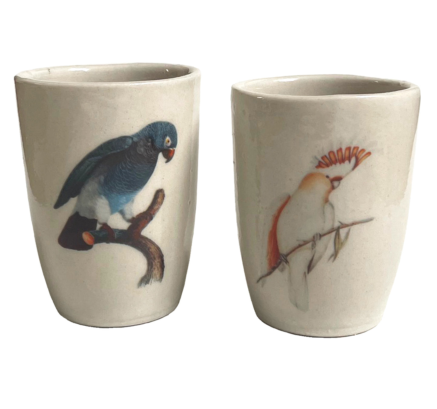 Cups Severino Birds