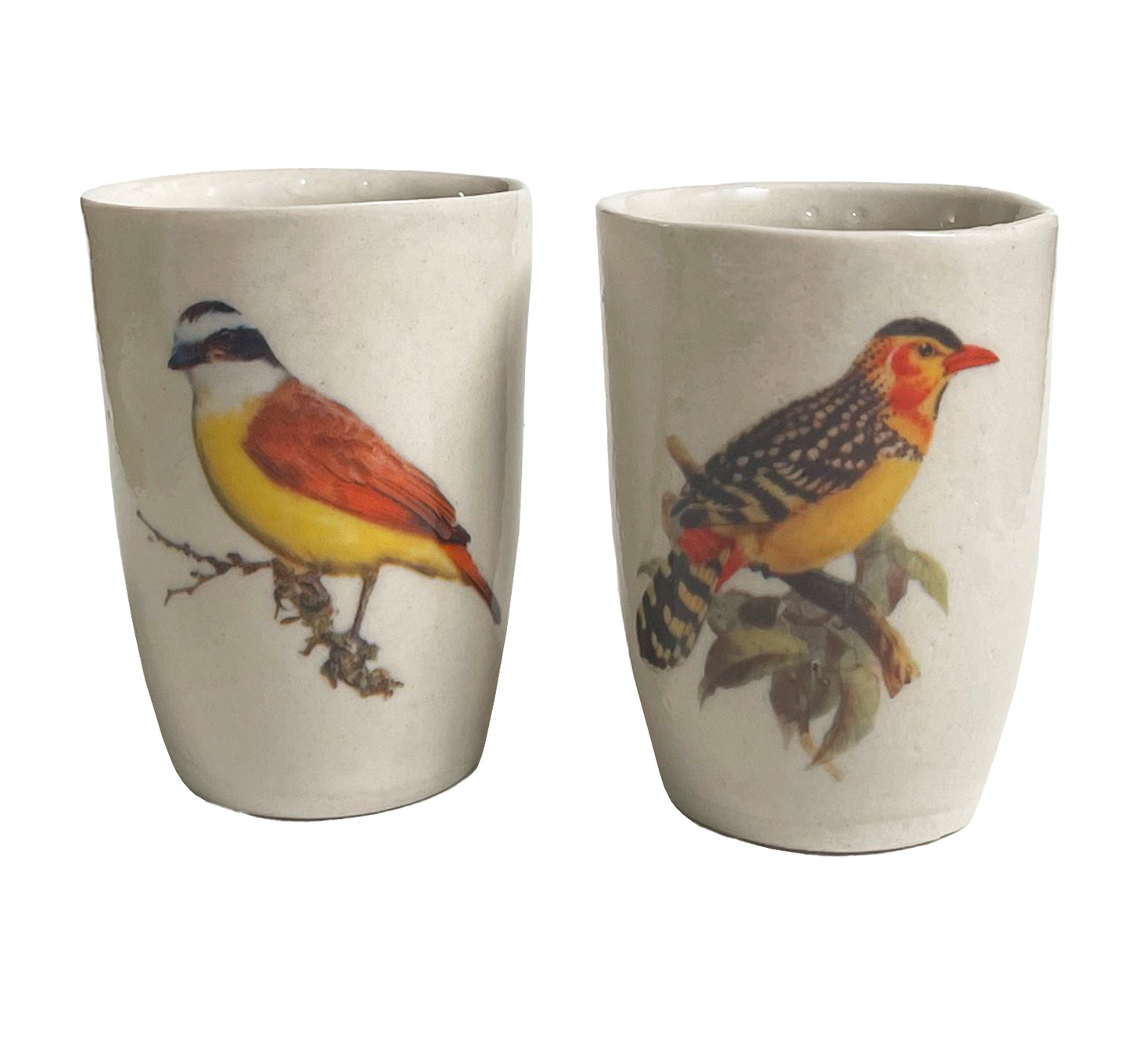 Cups Severino Birds