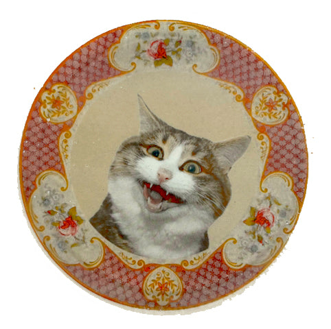 Prato Médio Miau