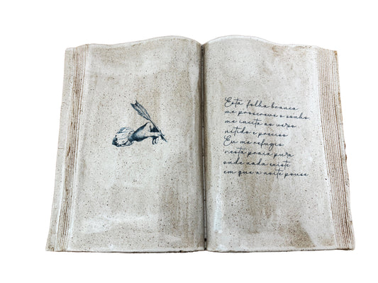 Livro Folha em Branco