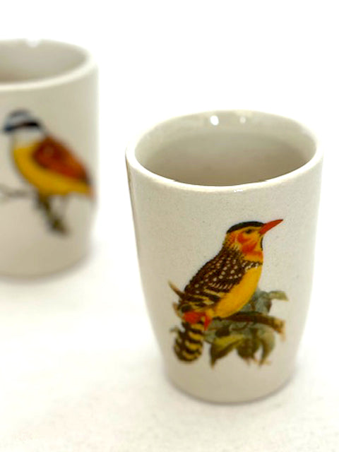 Cups Severino Birds