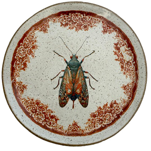 Prato Médio Mariposa