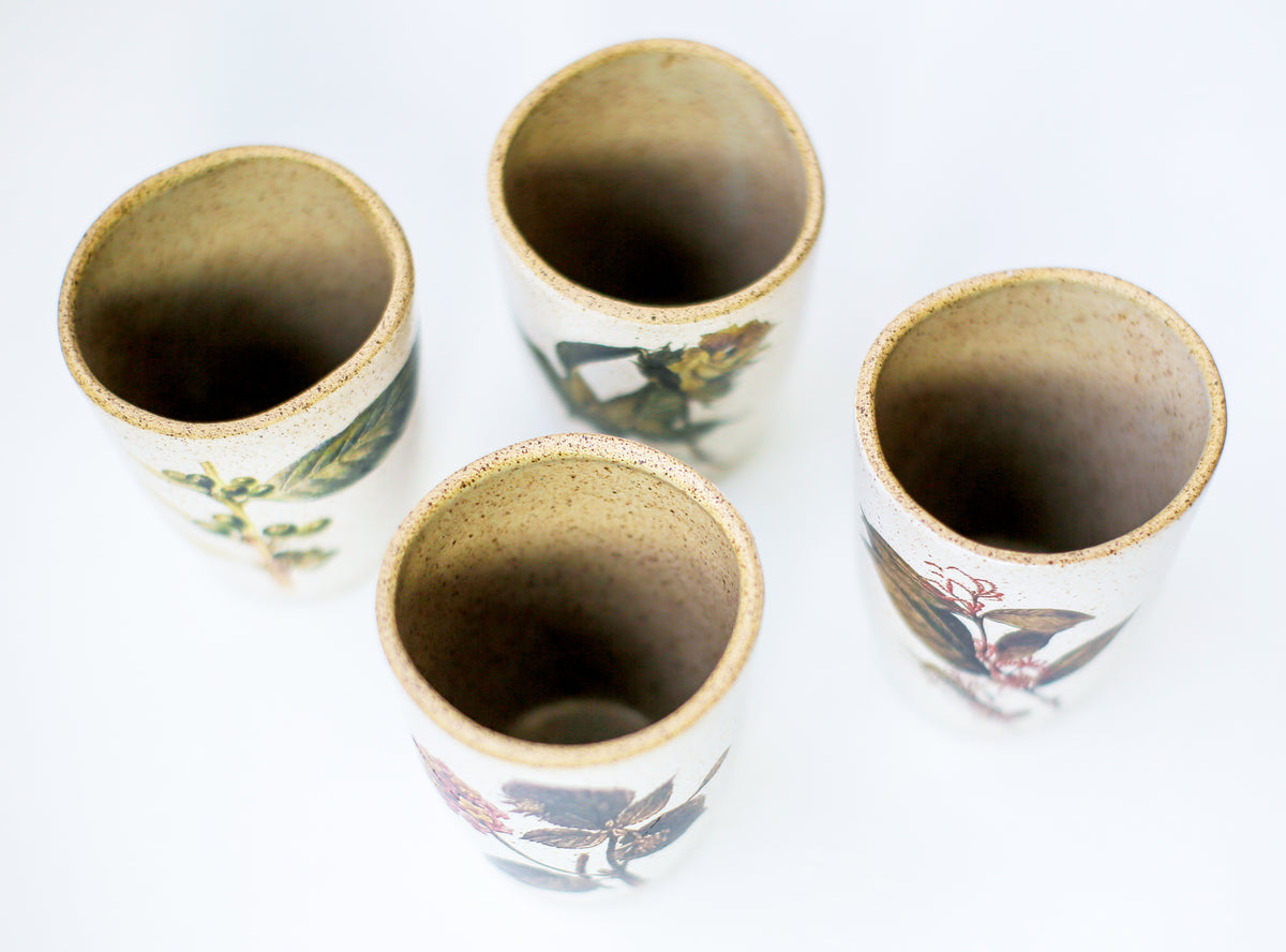 Cups Severino Debret Color