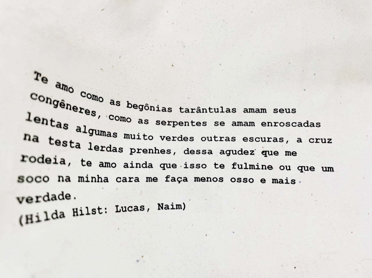 Cachepot Poesia Fluida - Hilda Hilst