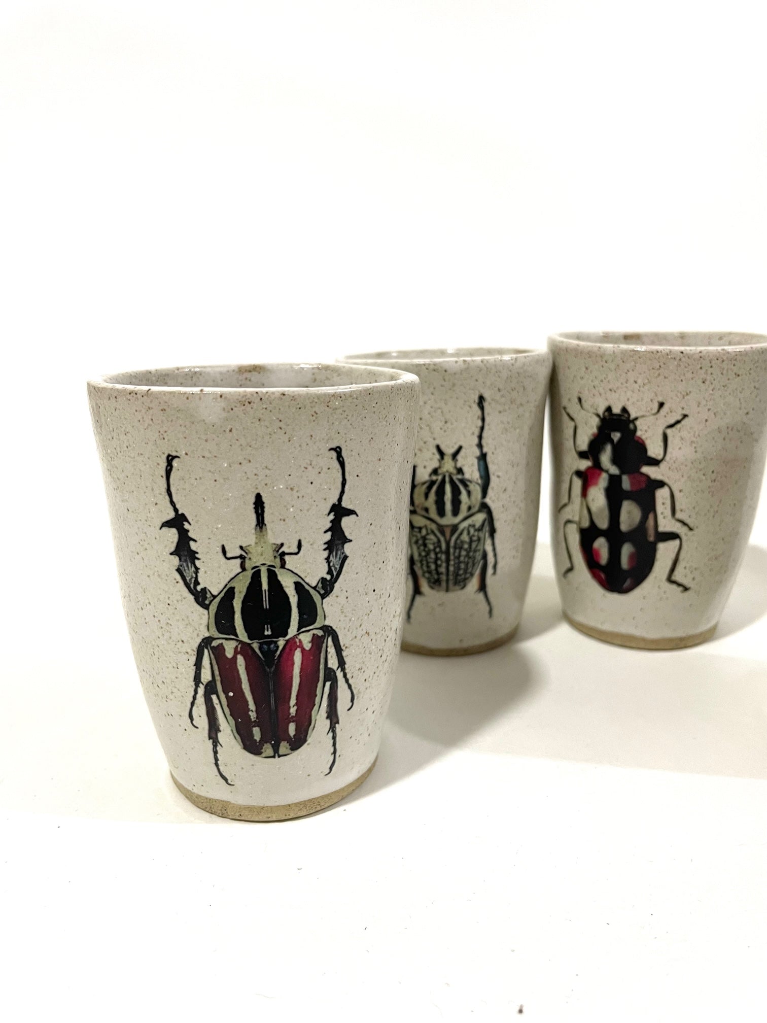 Cups Severino Insectorum